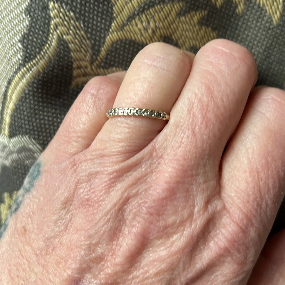 Catbird delicate eternity
